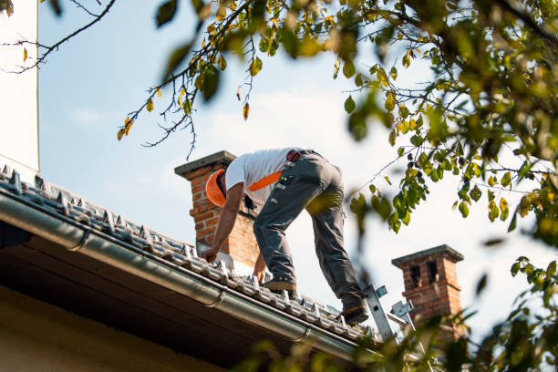 Best Storm Damage Roof Repair  in Lynden, WA