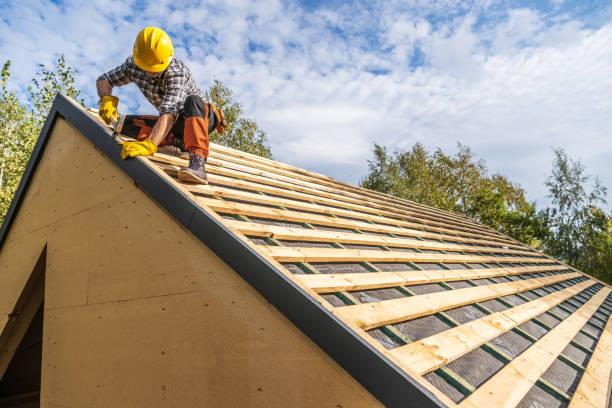 Best Roof Gutter Cleaning  in Lynden, WA